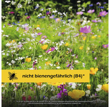 Blühende Blumenwiese mit dem Hinweis, dass das Produkt als nicht bienengefährlich eingestuft ist.