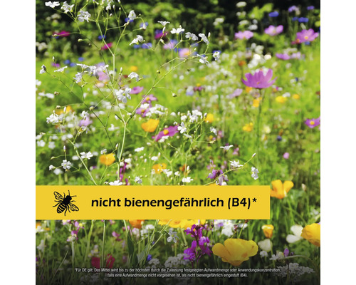 Blühende Blumenwiese mit dem Hinweis, dass das Produkt als nicht bienengefährlich eingestuft ist.