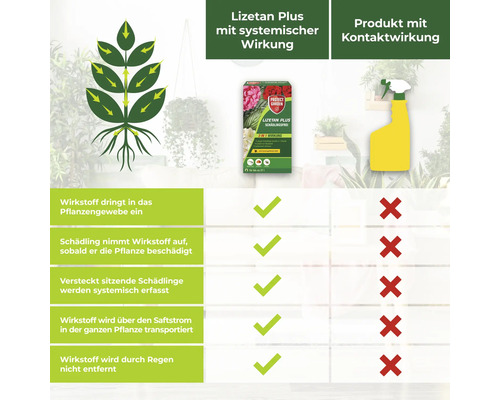 Infografik zum Wirkprinzip von Lizetan Plus Schädlingsfrei im Vergleich zu Produkten mit Kontaktwirkung mit Darstellungen zu Systemik.