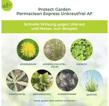 Protect Garden Permaclean Express Unkrautfrei AF Infografik zur Wirksamkeit gegen verschiedene Unkräuter wie Löwenzahn, Giersch und Brennnessel.