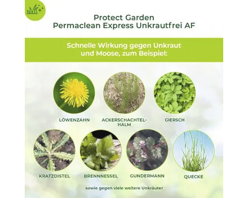 Protect Garden Permaclean Express Unkrautfrei AF Infografik zur Wirksamkeit gegen verschiedene Unkräuter wie Löwenzahn, Giersch und Brennnessel.