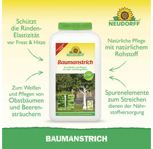 Neudorff Baumanstrich zum Pflegen und Schützen von Obstbäumen vor Frost und Hitze in einer Kunststoffflasche mit Anwendungshinweisen.