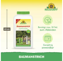 Neudorff Baumanstrich zum Weißen und Pflegen von Obst und Ziergehölzen, 23 Zentimeter Flaschenhöhe, ganzjährig anwendbar.