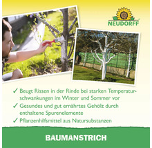 Neudorff Baumanstrich zum Schutz von Baumrinden gegen Risse bei Temperaturschwankungen mit Spurenelementen für gesunde Gehölze.