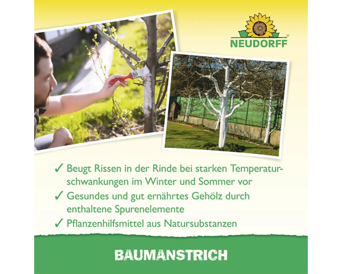 Neudorff Baumanstrich zum Schutz von Baumrinden gegen Risse bei Temperaturschwankungen mit Spurenelementen für gesunde Gehölze.
