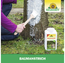 Person streicht Baumstamm mit Neudorff Baumanstrich zum Schutz von Obst- und Ziergehölzen im Garten.
