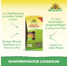 Neudorff Rasenreparatur LückenLos zur Ausbesserung kahler Stellen im Rasen mit Terra Preta Rasensamen Dünger und Mykorrhiza Pilzen