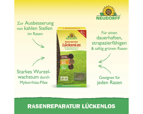 Neudorff Rasenreparatur LückenLos zur Ausbesserung kahler Stellen im Rasen mit Terra Preta Rasensamen Dünger und Mykorrhiza Pilzen