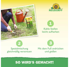 Anleitung zur Rasennachsaat mit Neudorff LückenLos. Eine Person harkt eine kahle Stelle im Rasen auf, daneben steht eine Gießkanne und Saatgut.
