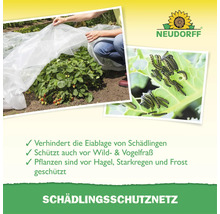 Neudorff Schädlingsschutznetz schützt Pflanzen vor Schädlingen, Wild, Vögeln, Hagel, Starkregen und Frost. Inklusive Anwendungshinweisen.