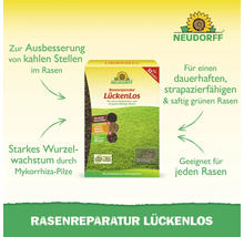Neudorff Rasenreparatur LückenLos zur Ausbesserung kahler Stellen im Rasen mit organischem Dünger und Rasensamen.
