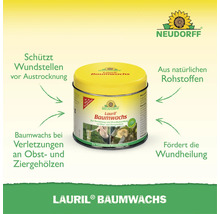 Neudorff Lauril Baumwachs in der Dose zur Wundbehandlung und Veredelung von Obst- und Ziergehölzen sowie zum Schutz vor Austrocknung.
