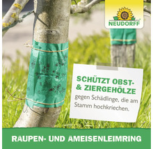 Neudorff Raupen und Ameisenleimring um einen Baumstamm zum Schutz vor kriechenden Schädlingen an Obst und Ziergehölzen.