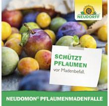 Neudorff Neudomon Pflaumenmadenfalle schützt Pflaumen vor Madenbefall.