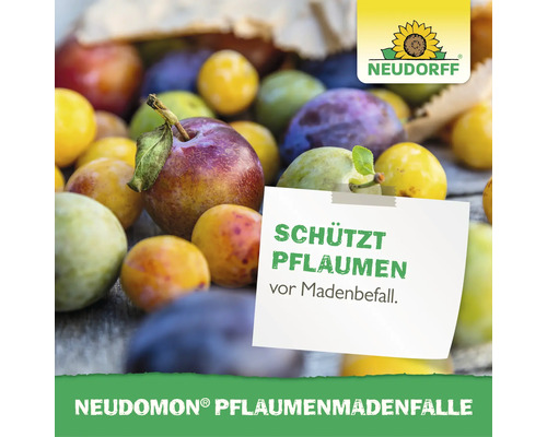 Neudorff Neudomon Pflaumenmadenfalle schützt Pflaumen vor Madenbefall.