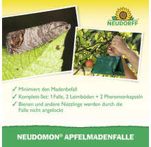 Neudomon Apfelmadenfalle zur Bekämpfung von Apfelwicklern mit Neudorff Logo. Set mit Falle, Leimböden und Pheromonkapseln für den Obstbaum.