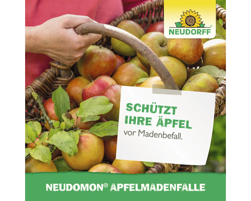Eine von Hand gehaltene Weidenkorb gefüllt mit Äpfeln und Neudorff Logo. Text informiert über Schutz vor Madenbefall durch Neudomon Apfelmadenfalle.