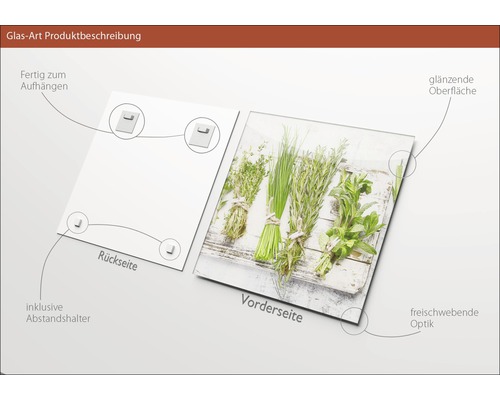 Glasbild mit Kräutermotiv, inklusive Halterung zur einfachen Montage
