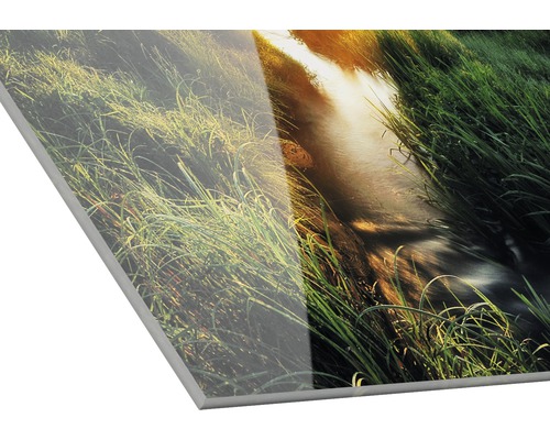 Acrylglasbild mit Flusslandschaft und Gras