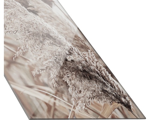 Dekorplatte mit Abbildung von Schilf