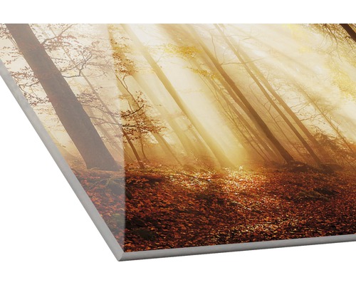 Dekorplatte mit Waldmotiv und Sonnenstrahlen