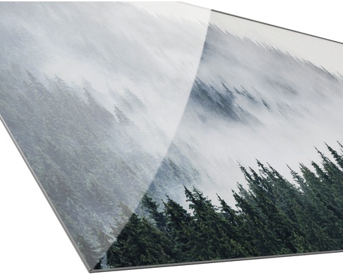 Nahaufnahme einer Glasplatte mit dem Aufdruck eines Waldmotivs im Nebel
