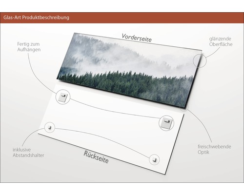 Glasbild mit Waldmotiv, inklusive Abstandshalter zur Wandmontage und glänzender Oberfläche
