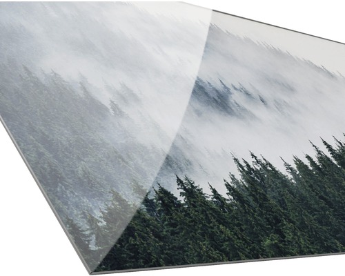 Dekorative Glasplatte mit Waldmotiv