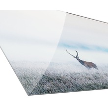 Acrylglasbild mit Hirschmotiv im Feld