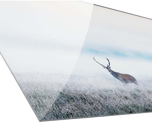 Acrylglasbild mit Hirschmotiv im Feld