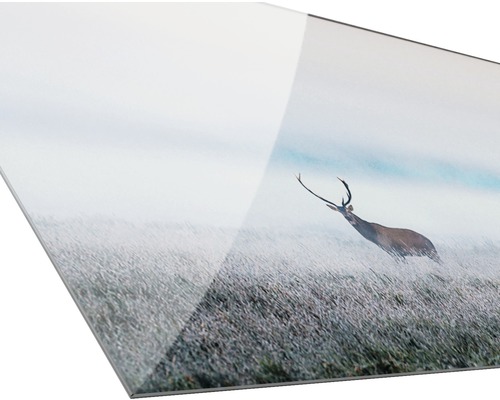 Acrylglasbild mit Hirschmotiv