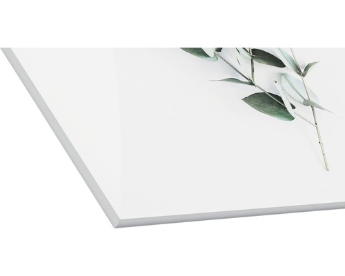 Acrylglasbild mit Eukalyptusmotiv