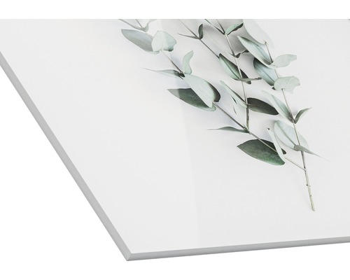 Acrylglasbild mit Eukalyptus-Motiv