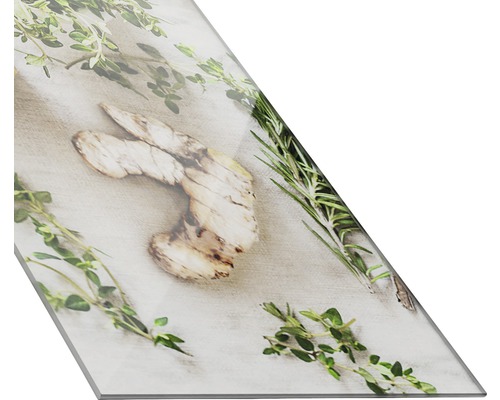 Küchenrückwand mit Kräutermotiv