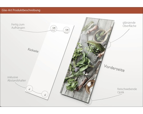 Glasbild mit Kräutermotiv, inklusive Abstandshalter, fertig zum Aufhängen, mit glänzender Oberfläche