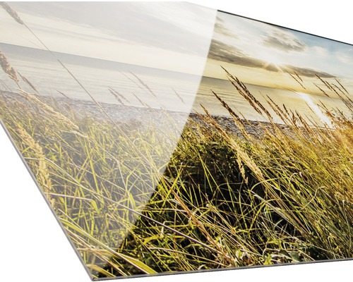 Acrylglasbild mit Darstellung von Gras am See