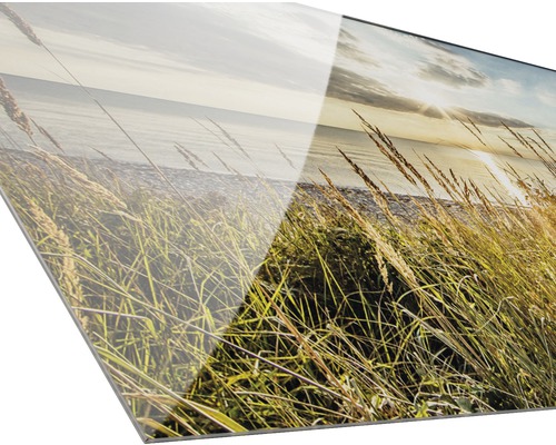 Acrylglasbild mit Strandhafer und Meerblick