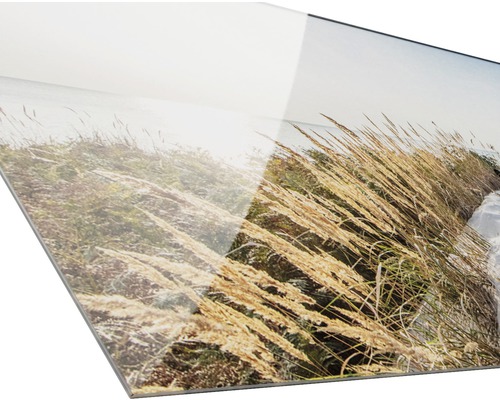 Acrylglasbild mit Gräsern im Feld