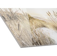 Dekoratives Acrylglasbild mit Strandhafermotiv