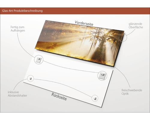 Glasbild mit Waldmotiv, inklusive Abstandshalter und Aufhängern