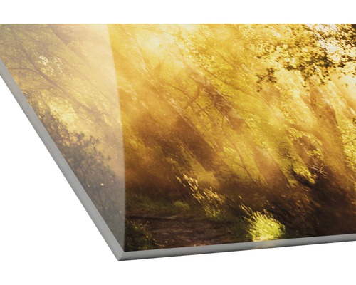 Acrylglasbild mit Waldmotiv und Sonnenschein