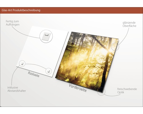 Glasbild mit Waldmotiv, inklusive Aufhängung und Abstandshalter