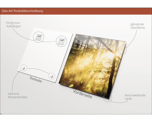 Glasbild mit Waldmotiv, inklusive Wandhalterung und glänzender Oberfläche.
