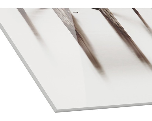 Weiße Trägerplatte mit Bilderdruck