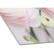 Glasbild Pink Flowers III 50x50 cm