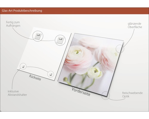 Glasbild mit Aufhängung, Abstandshalter, glänzender Oberfläche und schwebender Optik