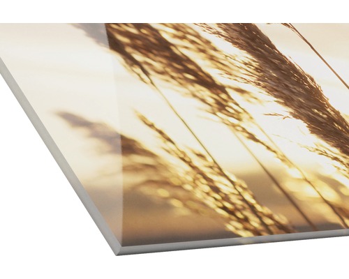 Acrylglasbild mit Gras-Motiv