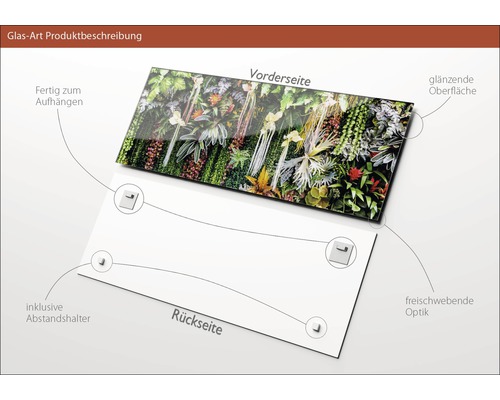 Glasbild mit Pflanzenmotiv, inklusive Abstandshalter zur Aufhängung