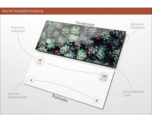Glasbild mit Sukkulenten, inklusive Abstandshalter, Vorder- und Rückseite dargestellt, glänzende Oberfläche