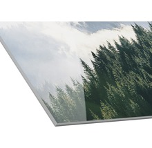 Wandbild mit Waldmotiv